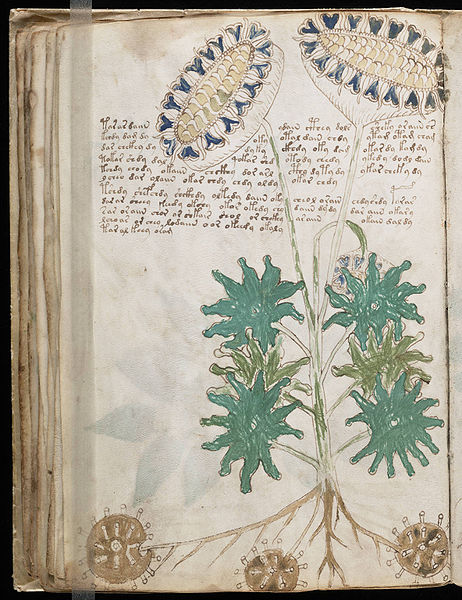 Undeciphered Voynich Manuscript