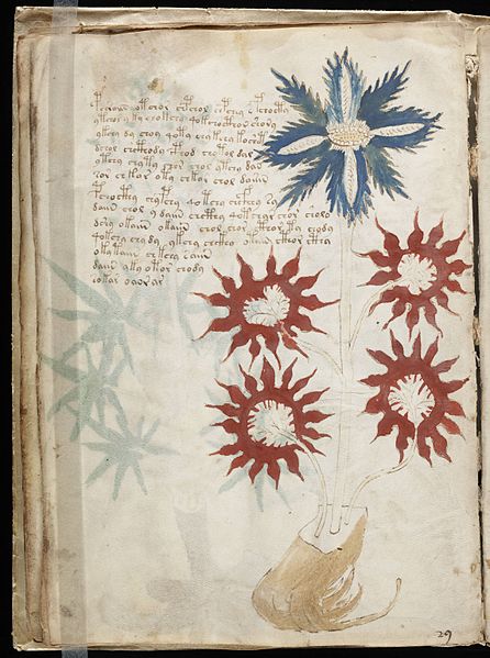 Undeciphered Voynich Manuscript