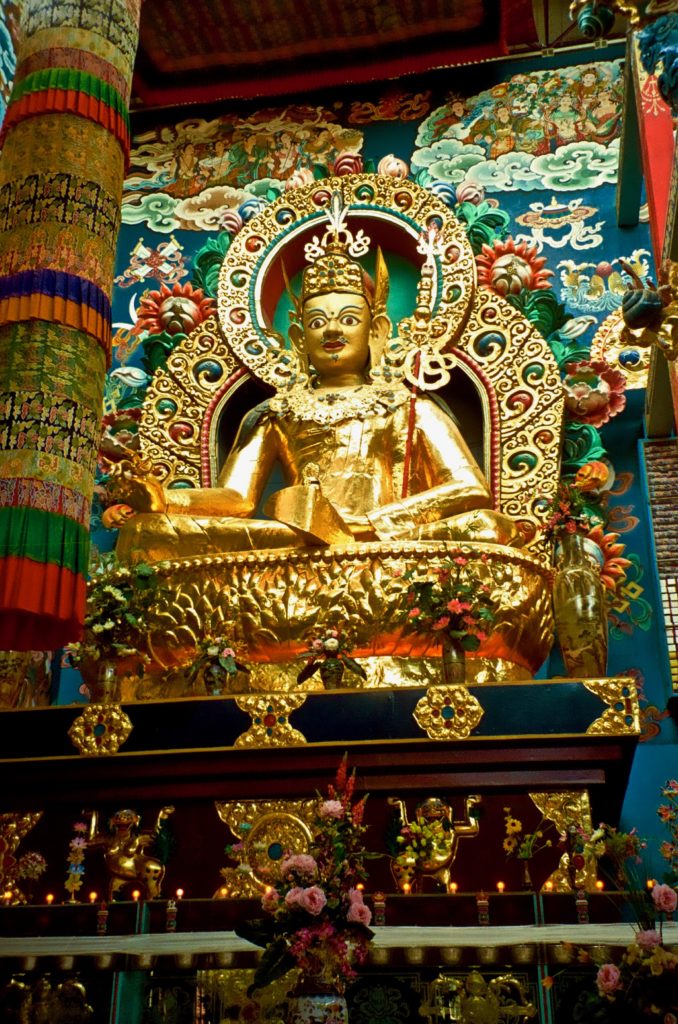 Buddhism: A Brief Look Into the Religion